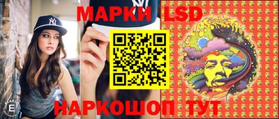 сатива Новодвинск