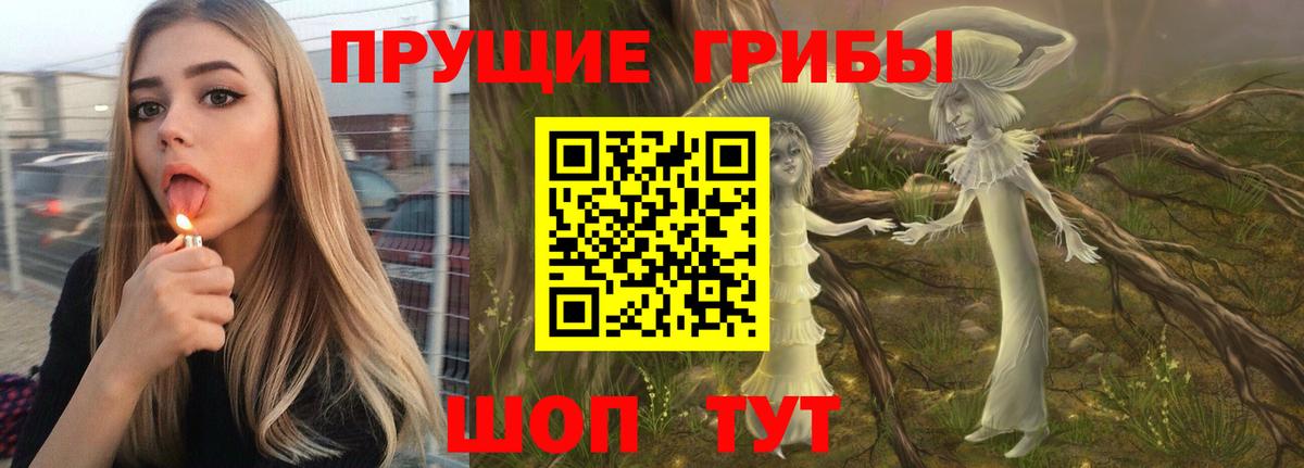 Галлюциногенные грибы прущие грибы  Вход с VPN  Грязи 